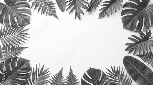 Minimal Gray Tropical Leaves Frame on White Background with Elegant Botanical Border and Copy Space