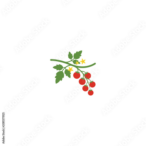 Colorful cherry tomato branch with green leaves and yellow flowers vector illustration