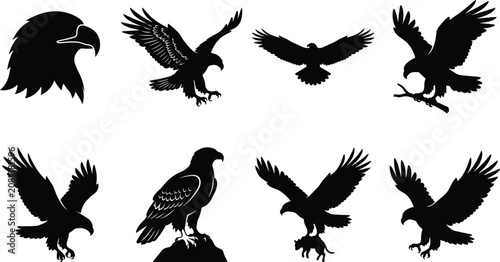 Fotografie Eagle silhouette collection featuring majestic birds of prey flying perched and