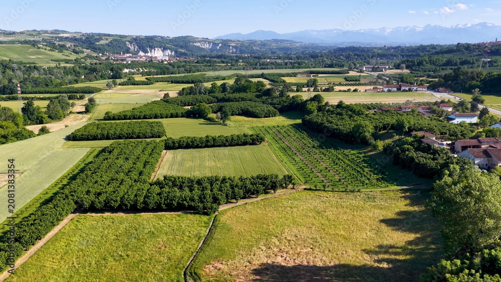 Fototapeta premium Aerial View of Piedmontese Hazelnut Orchards and Vineyards with Alps