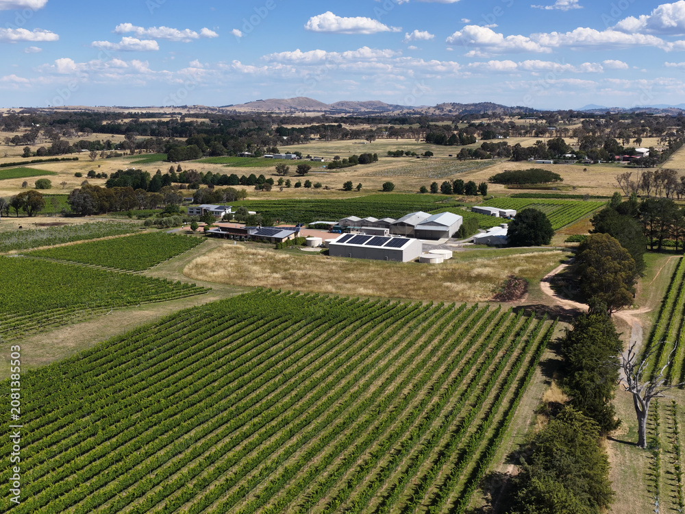 Fototapeta premium Aerial View of Lush Green Vineyards and Rural Farm Buildings in Canberra
