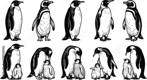 Obraz na plátně A charming vector illustration of penguins in various poses and sizes showcasing their distinctive black and white feathers and adorable expressions in a graphic design