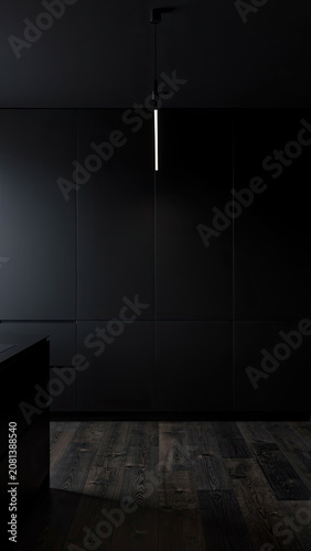 Dark Minimal Kitchen with Black Cabinets and Subtle Light