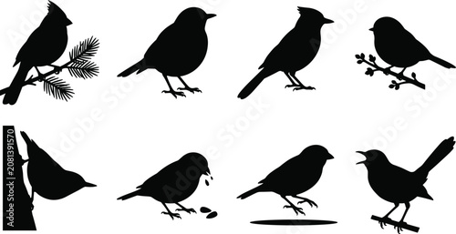 Fotografía Songbirds and backyard wildlife silhouette vector icons set featuring cardinal r