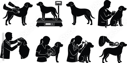 Bild auf Leinwand Veterinary care black silhouettes collection featuring dog checkup vaccination claw trimming weight scale and microchip scanning in image_228c2d