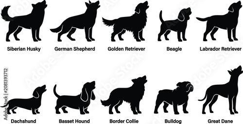 Foto Set of black silhouettes of different dog breeds on transparent background