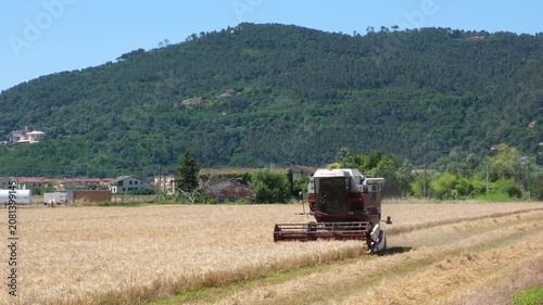 Combine harvester harvesting a golden grain field in rural Italy with green mountains in the background, concept of food production, sustainable agriculture and food security.