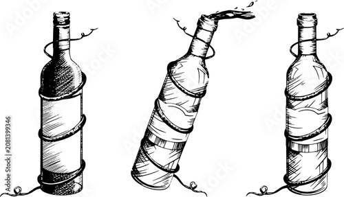 Obraz na plátně set of wine bottles entwined with vines