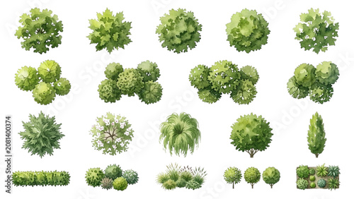 Hand Drawn Watercolor Top View Park Trees and Landscape Vegetation Symbols Vector Set