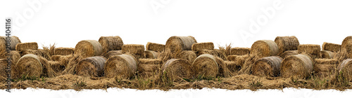 Abundant hay bales and straw stacks form a rustic farm border. natural dry grass texture. agricult