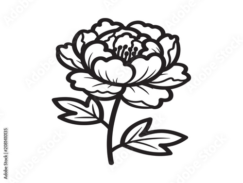 Minimalist Chinese Peony Flower Illustration in a Clean Line Art Style