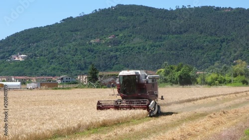 Combine harvester harvesting a golden grain field in rural Italy with green mountains in the background, concept of food production, sustainable agriculture and food security.