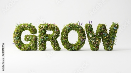 Eco friendly grow text, green moss letters, nature inspired words, environmental concept