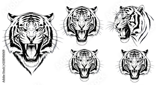 Quadro su tela Aggressive roaring tiger heads in detailed black and white line art