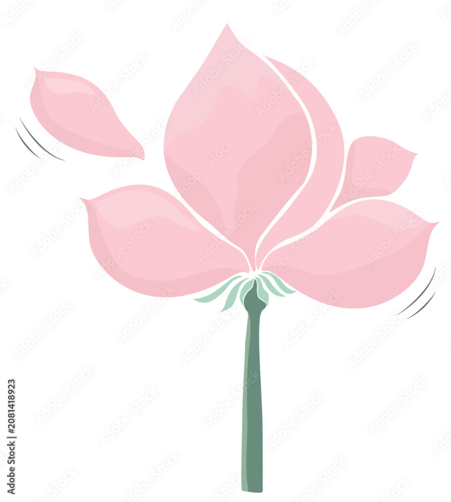 Fototapeta premium Minimalist Pink Lotus Flower with Falling Petals-Elegant Botanical Illustration