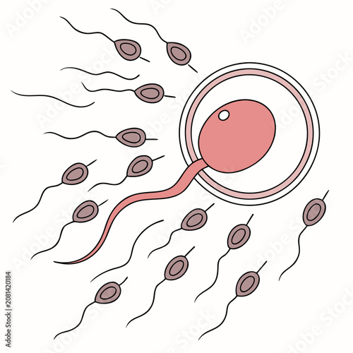 Foto A simple medical of a single sperm cell fertilizing a large human egg cell with