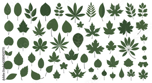 Fotografie Green tree and plant leaf silhouettes in various shapes and sizes