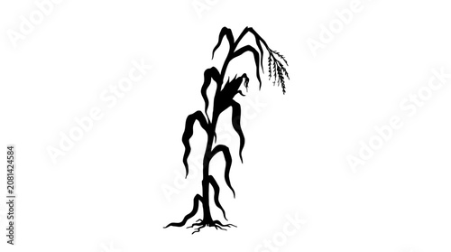 Quadro su tela Corn stalk silhouette against a white background graphic illustration