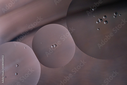 Abstract Colorful Dots on Vibrant Background