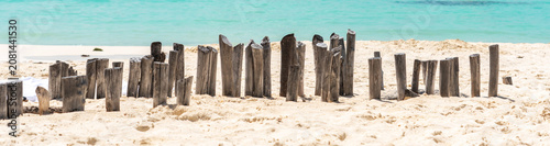 Tableau sur toile Old wooden beams from former pier on a beautiful caribbean beach in Mexico