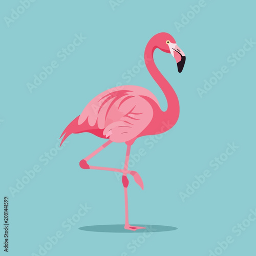 Bild auf Leinwand Pink Flamingo Standing on One Leg.