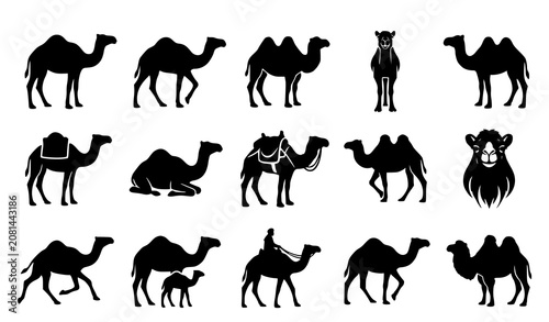 Photos Camel Silhouette Icon Set Featuring Arabian Dromedary and Bactrian Desert Animal