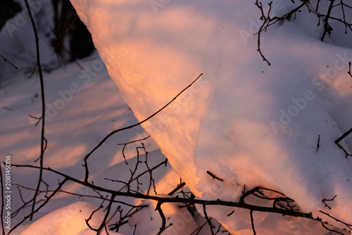 Photos Dramatic snowdrifts catching the warm embrace of golden hour light, contrasting with stark, intricate branches