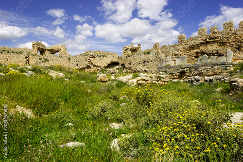 Ruins of an ancient stone structure overgrown with green grass and yellow wildflowers under a blue sky with white clouds.