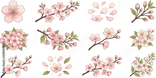 Japanese Cherry Blossom Sakura Flower Vector Clip Art Set with Delicate Branches Falling Petals and Buds for Spring Wedding and Greeting Card DesignsJapanese Cherry Blossom Sakura Flower Vector Clip A