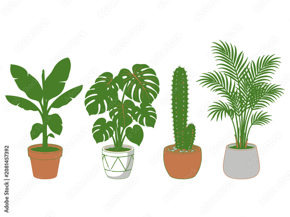 Fototapeta premium A collection of four distinct potted indoor houseplants illustrated in a flat vector style.