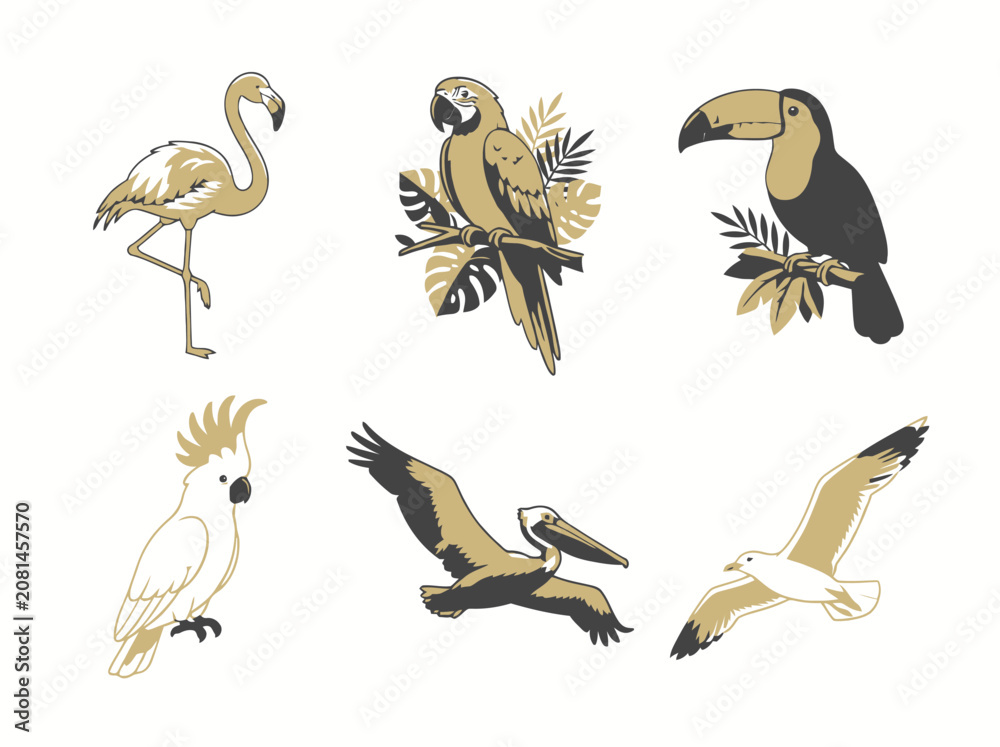 Fototapeta premium A collection of hand drawn tropical birds including a flamingo parrot toucan cockatoo pelican and seagull.