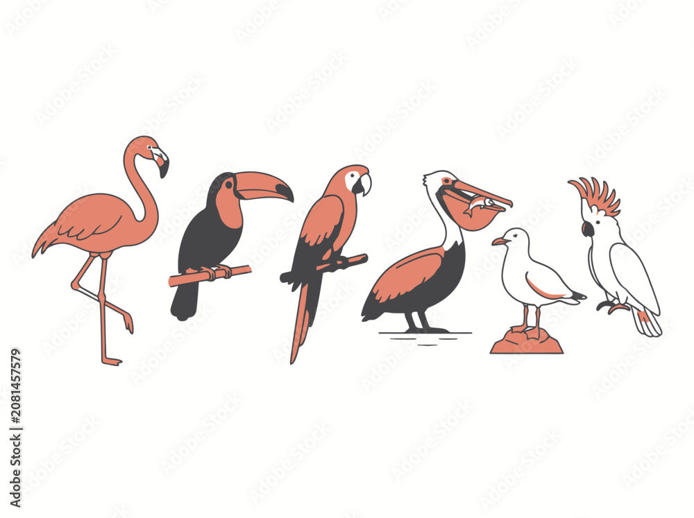 Fototapeta premium A collection of various colorful tropical and coastal bird species illustrated in a flat graphic style.