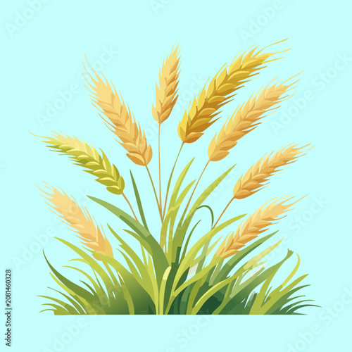 Bild auf Leinwand Fresh green wheat stalks growing in a fertile field during the warm harvest seas
