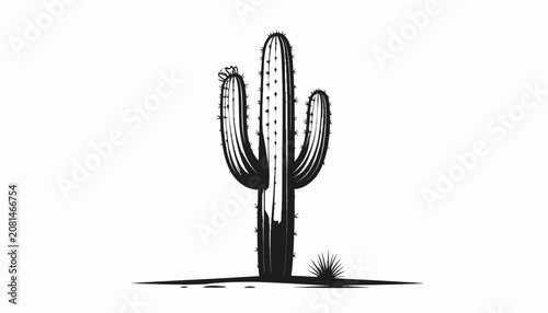 Canvastavla A large cactus plant standing tall.