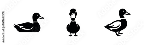 Photos Duck Icons