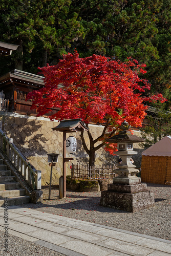 Japanese Temple Grounds with Red Autumn Maple Tree and Stone Lantern