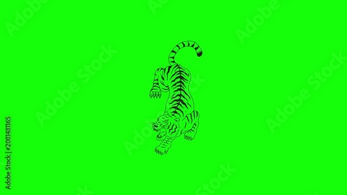 Dynamic Tiger Illustration on Bright Green Screen Background for Video Editing