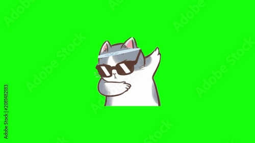 Animated Cat Wearing Sunglasses on Bright Green Screen Background