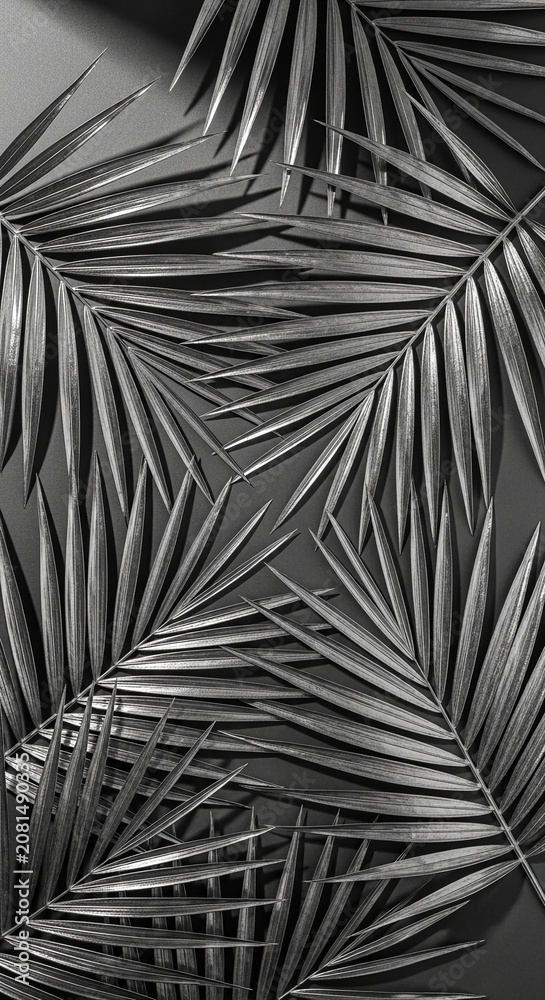 Fototapeta premium Close-up of silver palm fronds arranged in a radial pattern on a dark surface, symbolizing nature, elegance, and tropical themes