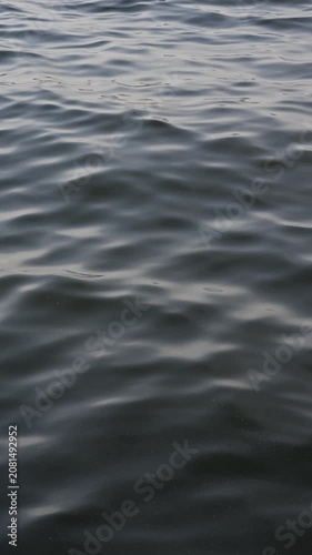 deep blue water ripples and gentle waves on the surface of the sea. Natural texture background. Water textures vertical  video.