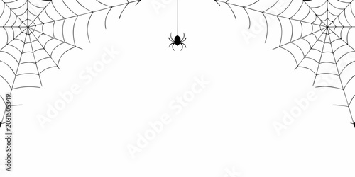 Spider Web Illustration With Spider Black And White Graphic