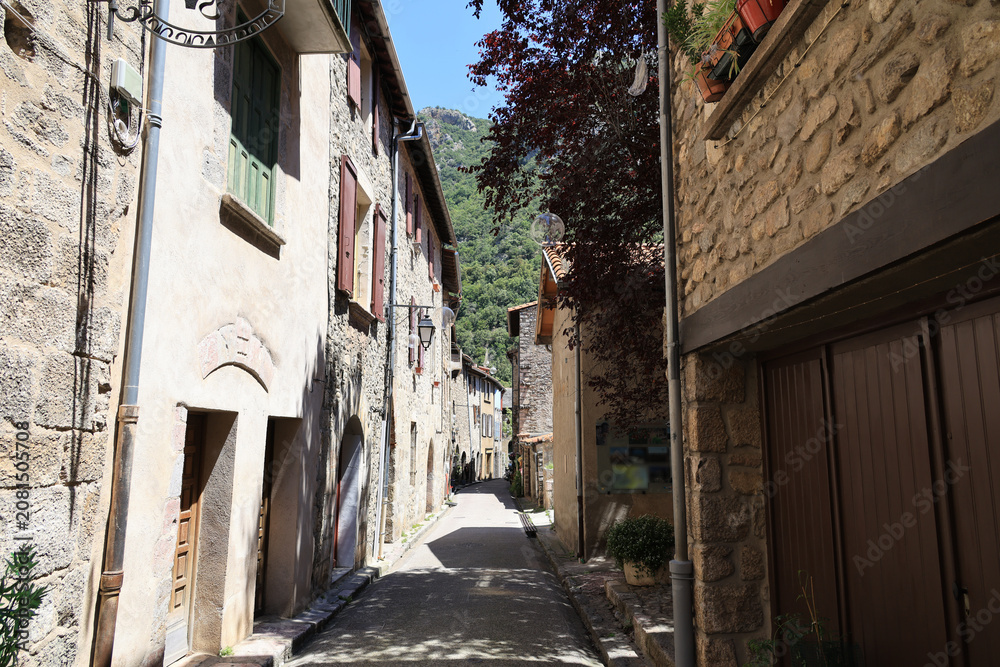 Fototapeta premium Romantic alley in the medieval town Villefranche-de-Conflent, France 