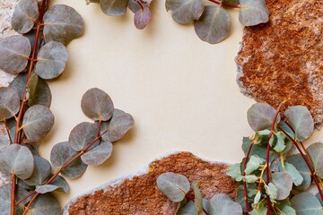 Neutral stone texture background with eucalyptus branches and copy space for organic cosmetics advertising, wellness brand identity and spa menu mockups