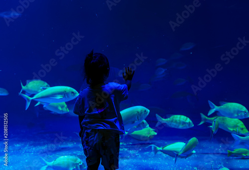 Obraz na plátně ディープブルーに輝く大水槽に手を当てて魚の群れをじっと見つめる子どもの後ろ姿