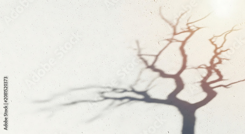 Abstract Bare Tree Shadow