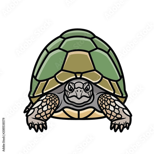 Cuadro en lienzo Turtle Cartoon Character Illustration Closeup.