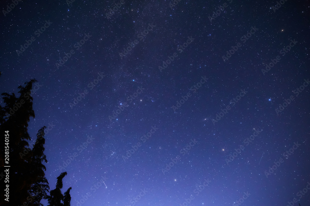 Fototapeta premium Summer Milky Way stars and landscape scenery silhouettes.