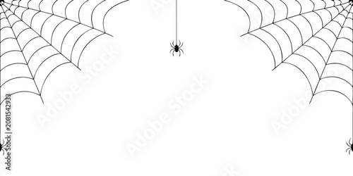 Foto Spider Web Illustration With Spider Black And White Graphic