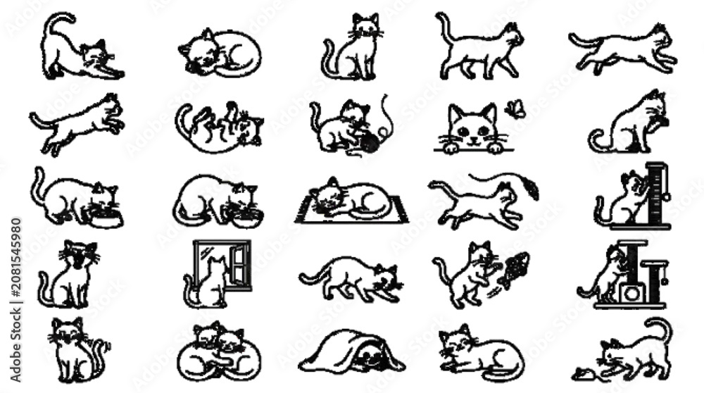 Fototapeta premium set of animals of cat 