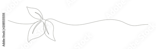 Leaves line art featuring a minimalist continuous black botanical nature design